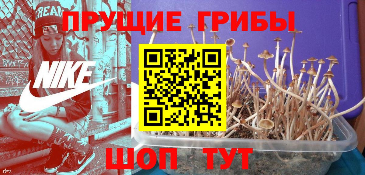 Добрянка  Псилоцибиновые грибы мицелий  Вход с VPN 