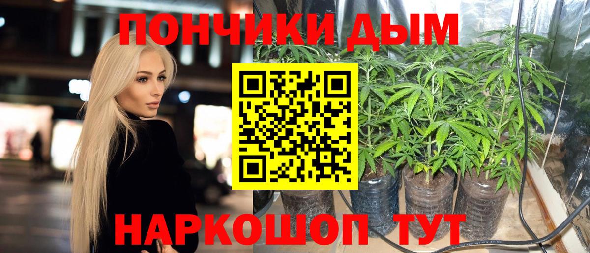 Шишки марихуана гибрид Добрянка